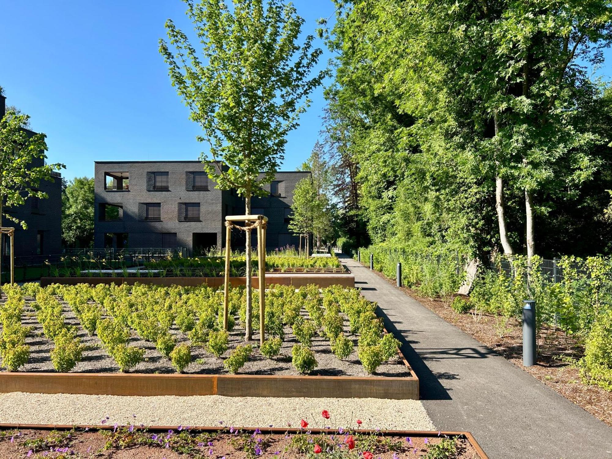 Seeparkvilla - Wohlfuehlen Am See Und Im Gruenen Bregenz Buitenkant foto